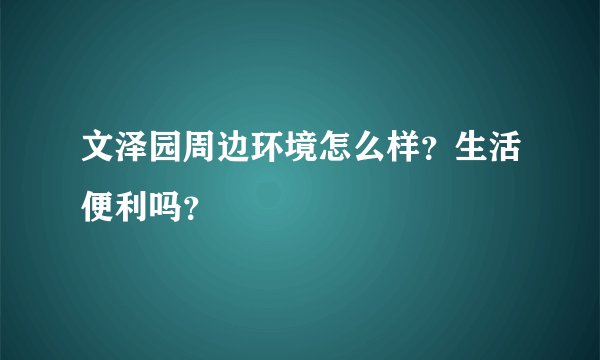文泽园周边环境怎么样？生活便利吗？