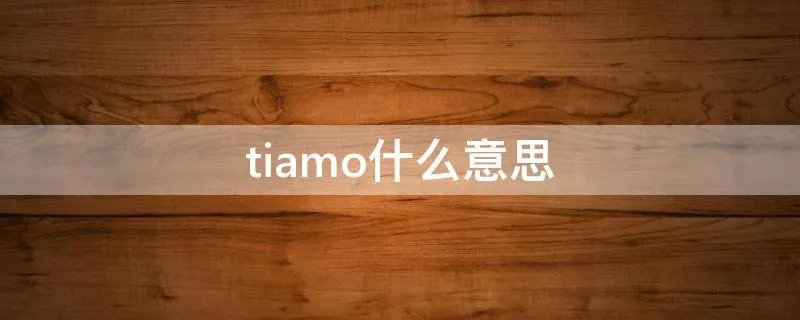 tiamo什么意思