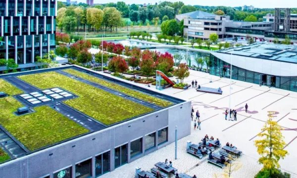 世界mba商学院排名