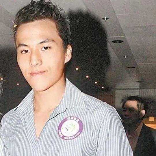 赌王何鸿燊的子女才貌出众是谁？