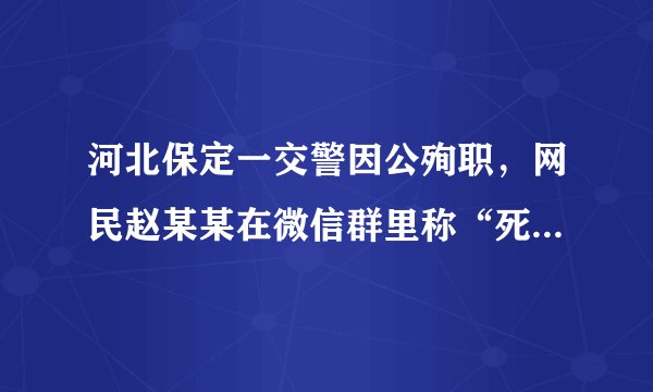 河北保定一交警因公殉职，网民赵某某在微信群里称“死得好”。赵某某因涉嫌寻衅滋事被行政拘留10日。对此认识正确的是（　　）①赵某某的行为是犯罪行为②启示我们违法行为不可为③赵某某的行为违背了社会主义核心价值观④网络不是法外之地，要正确处理自由与规则的关系A.①②③B.①②④C.②③④D.①③④