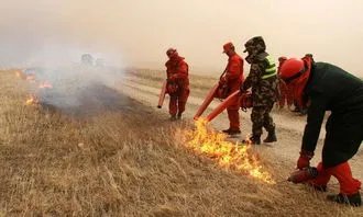 内蒙古成功堵截蒙古国入境草原火，现场情况如何？