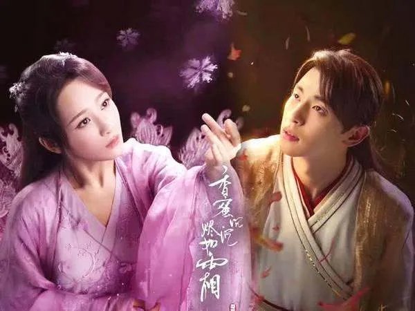 杨紫演过那些电视剧?