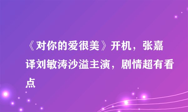 《对你的爱很美》开机，张嘉译刘敏涛沙溢主演，剧情超有看点