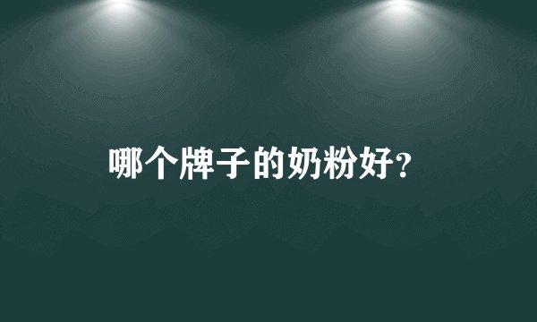 哪个牌子的奶粉好？