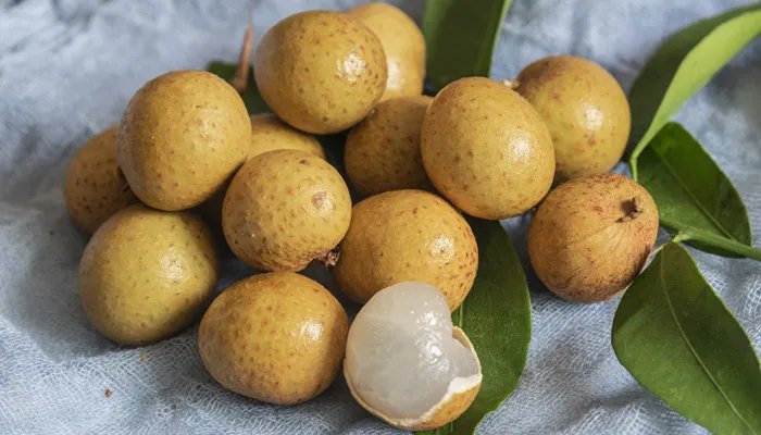 龙眼产地是哪里 储良龙眼