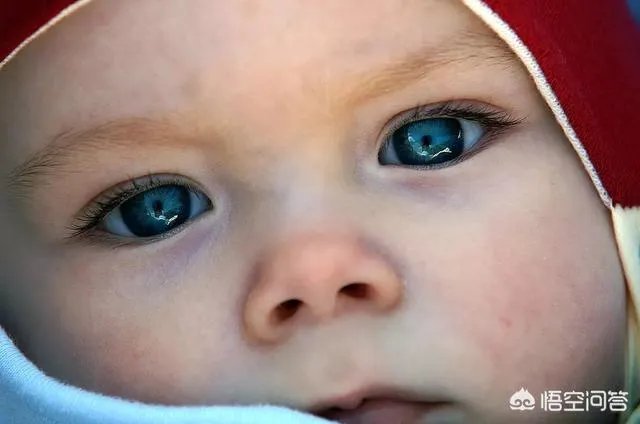 如何评价电影《孤儿》？