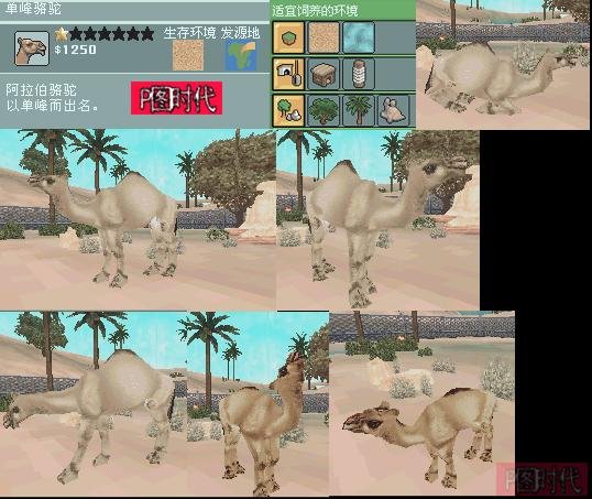 图文攻略 动物园大亨2