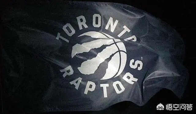 目前猛龙、雄鹿、鹈鹕，你更看好哪只队伍？为什么？