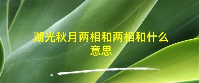 湖光秋月两相和两相和什么意思