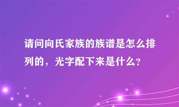 请问向氏家族的族谱是怎么排列的，光字配下来是什么？