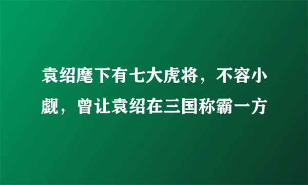 袁绍麾下有七大虎将，不容小觑，曾让袁绍在三国称霸一方