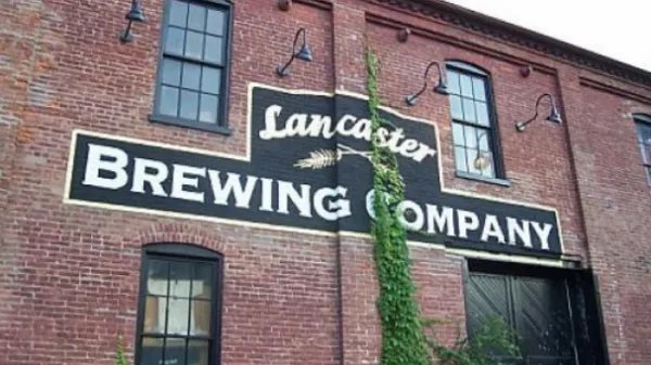 firms和company的区别