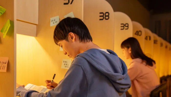 统招是什么意思 统招的意思