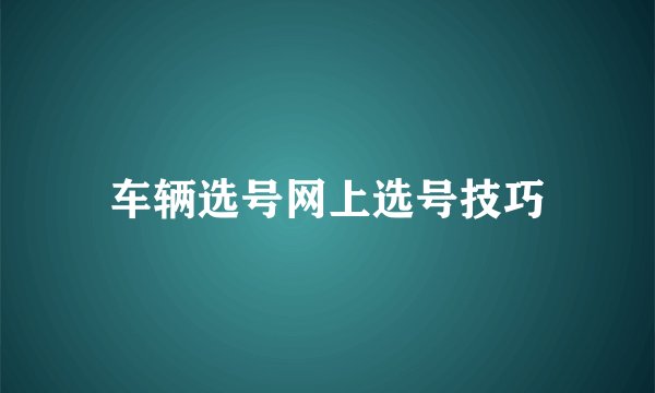 车辆选号网上选号技巧
