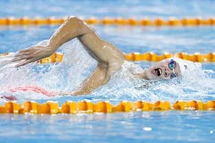 刚开始学习游泳，先学哪种泳姿呢？