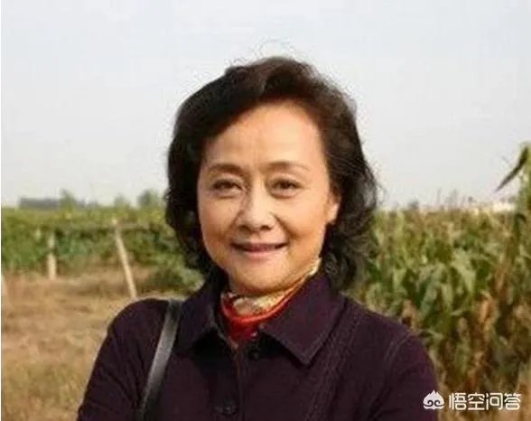 女演员黄梅莹的资料