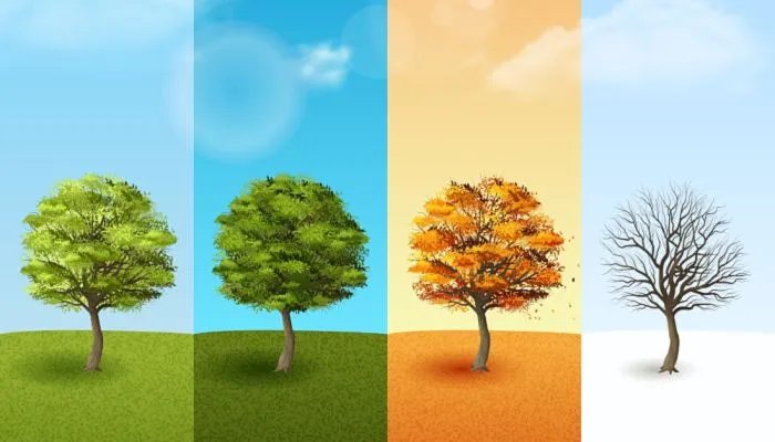 2022年四季是什么时候 2022年春夏秋冬分别哪几个月