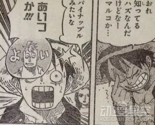 《海贼王》漫画820先行图 佐乌双王竟是罗杰船员