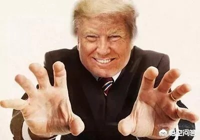 你觉得特朗普会让美国退出联合国吗?为什么？