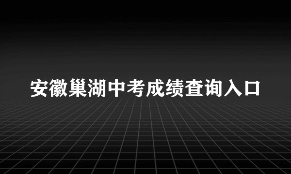 安徽巢湖中考成绩查询入口