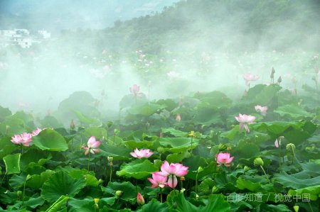 虎牌保险柜没电了这是怎么回事，怎么打开