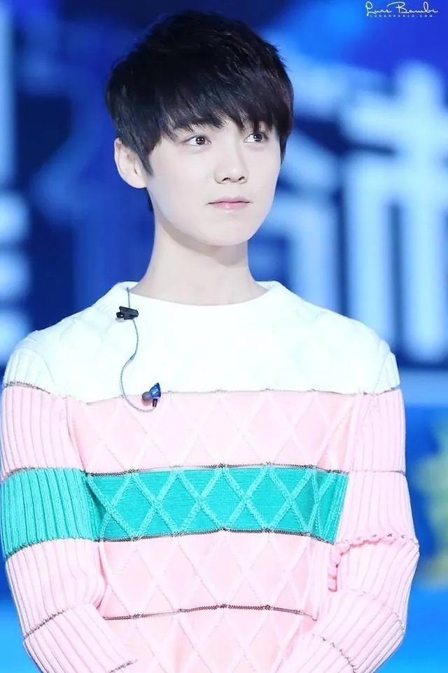 为什么鹿晗不太理张慧雯？