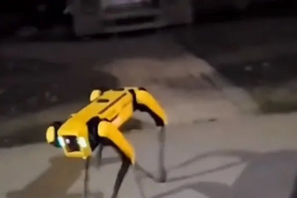机器狗夜晚独自在街头游荡,现场看到的人是何反应?