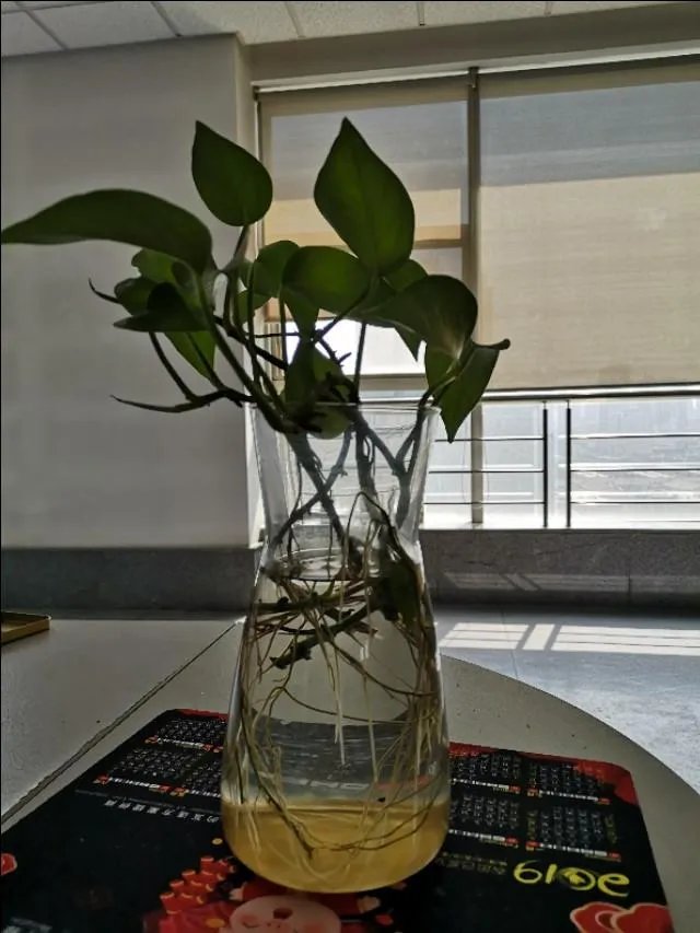 我理财是为了人生更自由，请问这是爱玩的表现吗？