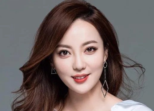 安徽电视台来吧惯军主持人