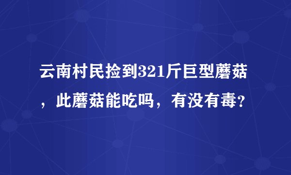 云南村民捡到321斤巨型蘑菇，此蘑菇能吃吗，有没有毒？