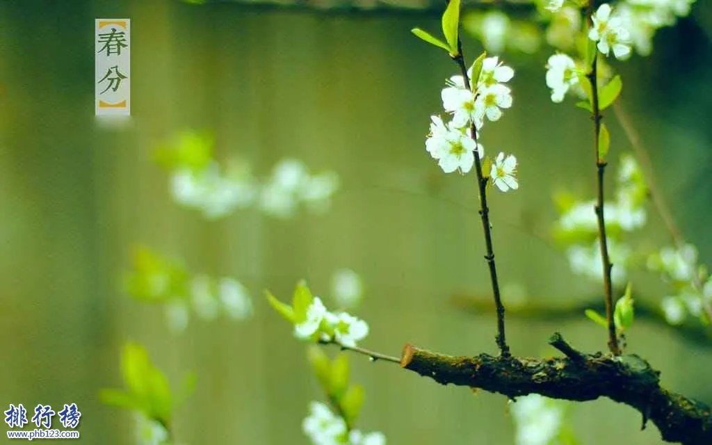 2018年立春是哪一天 春分和立春的区别是什么