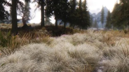 《上古卷轴5》提高画质方法详解 上古卷轴5怎样提高画质