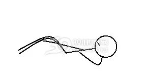 瘦腹小动作 练出比基尼身材