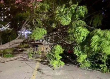 江苏南通大风致11死102伤,当地的风达到了多少级?