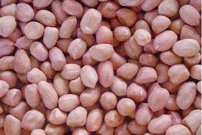 米的爸爸是谁，米的妈妈是谁，米的老公是谁?