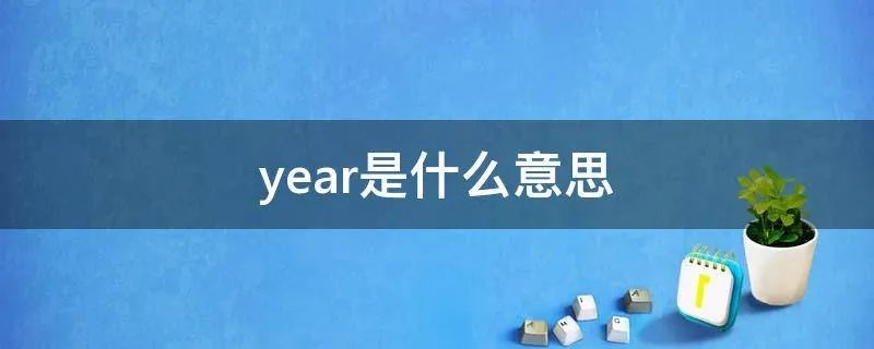 year是什么意思