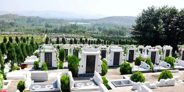 代表建议全面取消经营性公墓
