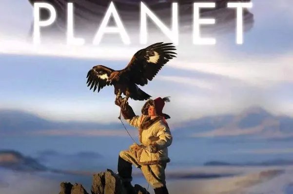 BBC十大必看纪录片排行榜：南太平洋上榜，第七上映最早