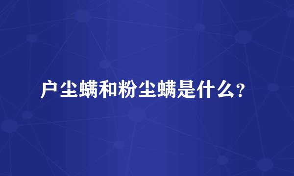 户尘螨和粉尘螨是什么？