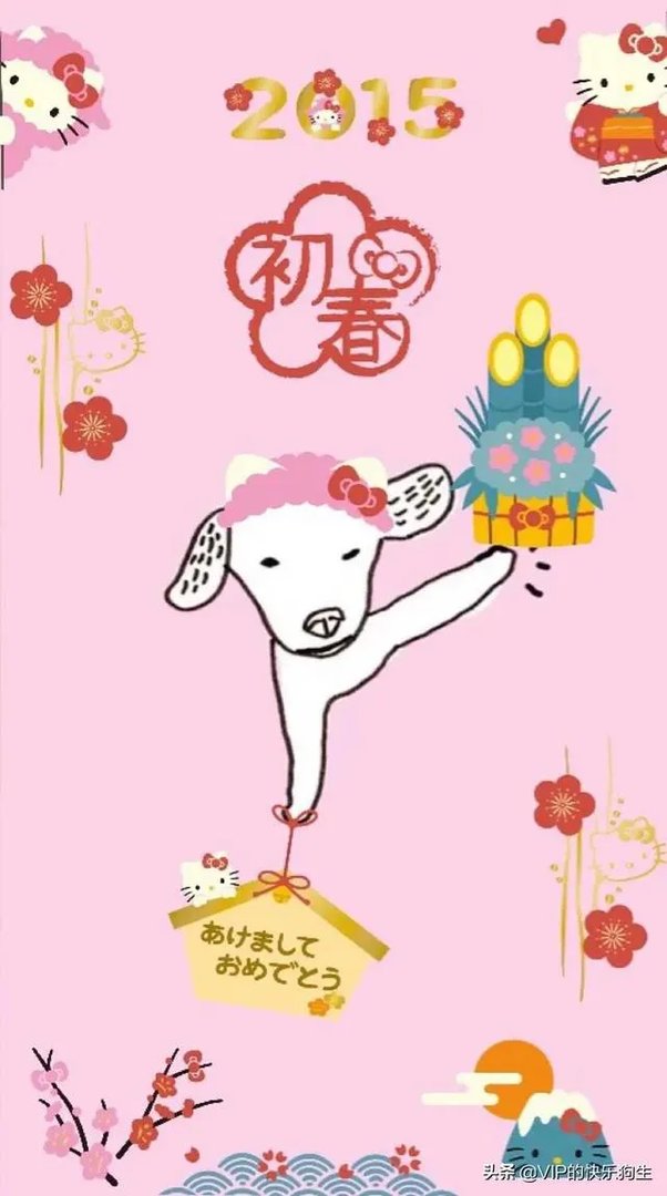 养一只柯基一年大概要多少钱？