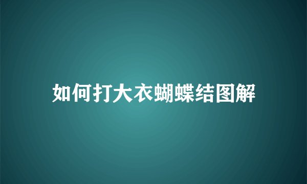 如何打大衣蝴蝶结图解