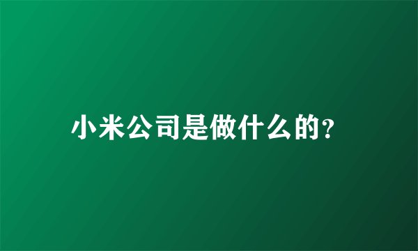 小米公司是做什么的？