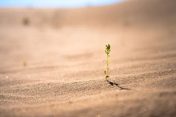 中国最大的沙漠是什么 中国最大的沙漠