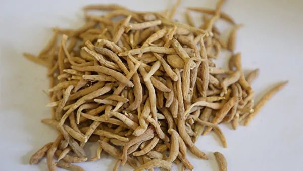 党参的功效与作用禁忌