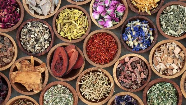 中医如何治脱发