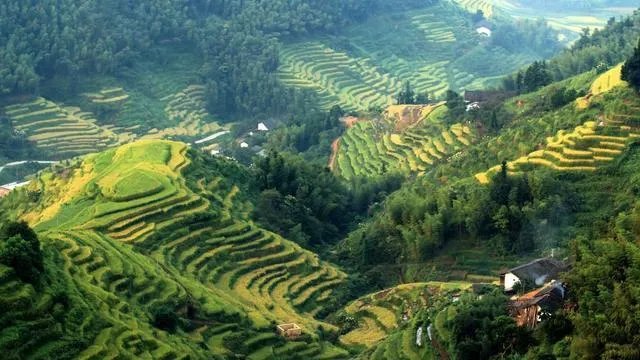 五一去崇义旅游,去玩过的驴友可以说下攻略吗?