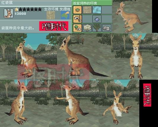 图文攻略 动物园大亨2