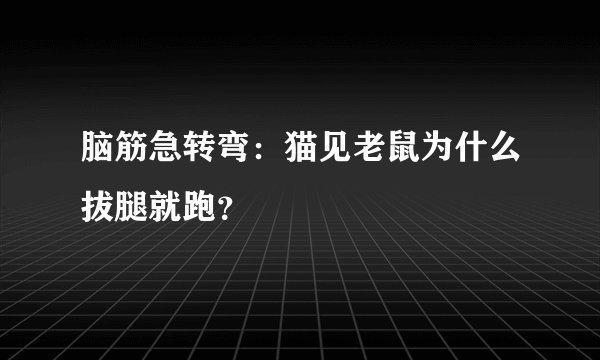 脑筋急转弯：猫见老鼠为什么拔腿就跑？
