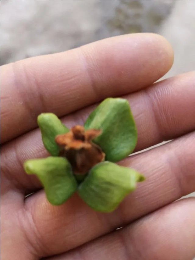 我理财是为了人生更自由，请问这是爱玩的表现吗？